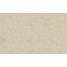 Compacto Ivory Cream (VANILLA)